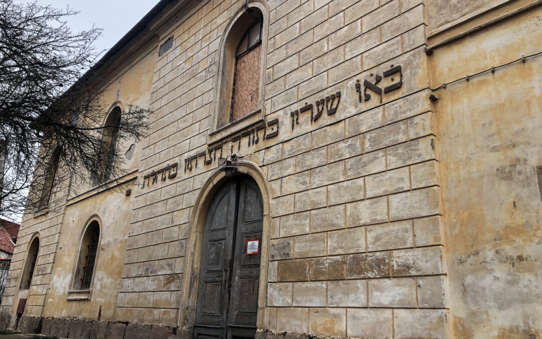 Synagoga – přestavba na knihovnu s multifunkčním využitím, Ivančice u Brna
